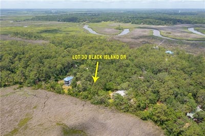 /international/us/black-island-road-lot-30-darien-ga-110106695241/