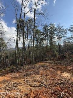 /international/us/parksville-road-lot-1-benton-tn-110103707054/
