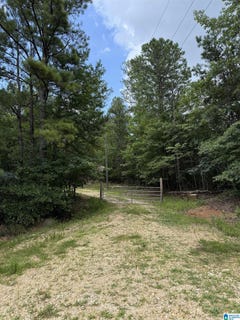 /international/us/2718-old-woodstock-road-west-blocton-al-110100834229/