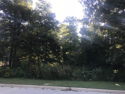 /international/us/1108-oakview-lane-genoa-il-110090415109/