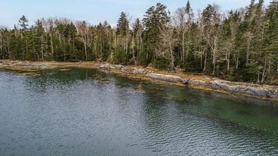 /international/us/quiet-shore-road-lot-11-steuben-me-110103520029/