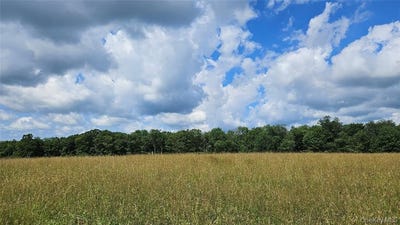 /international/us/stump-pond-road-callicoon-center-ny-110107850784/