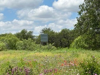 /international/us/90-fm-2492-brownwood-tx-110102120244/
