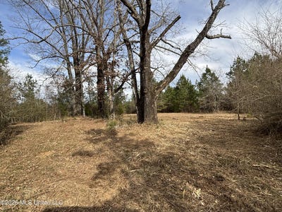 /international/us/hwy-28-hazlehurst-ms-110107586231/