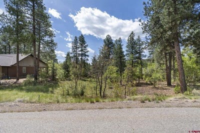 /international/us/47-needle-creek-court-durango-co-110108198412/