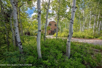 /international/us/94-hillside-way-star-valley-ranch-wy-110096241890/?lang=zh-tw