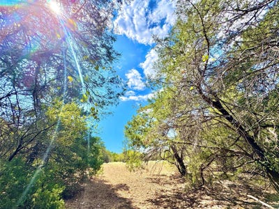 /international/us/tbd-50-62-acres-rabel-rd-rosanky-tx-110102737868/