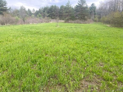 /international/us/6281-e-hill-road-caneadea-ny-110108189573/
