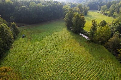 /international/us/228-holly-branch-drive-ellijay-ga-110120125188/