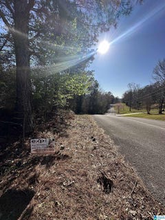 /international/us/0-mohawk-bluff-drive-ohatchee-al-110097343733/