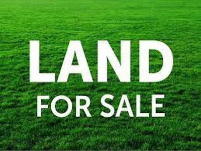 /international/us/0000-newburg-rd-haleyville-al-110096381575/