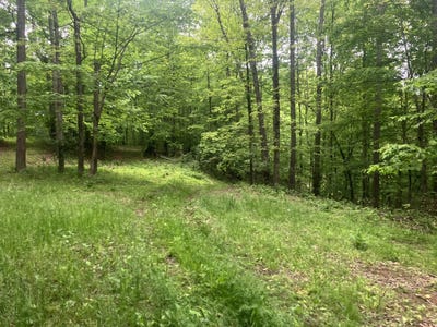 /international/us/1180-little-trace-run-rd-exchange-wv-110101675852/