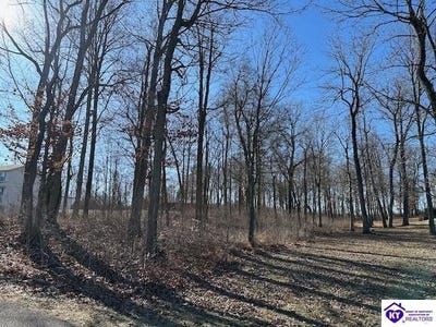 /international/us/buck-knobs-road-lot-3-ekron-ky-110120620423/