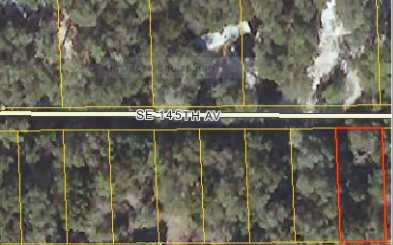 /international/us/xx-ne-145th-ave-cross-city-fl-110001445899/