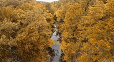 /international/us/00-countryside-drive-quitman-ar-110089348899/