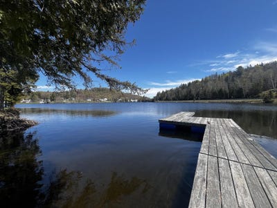 /international/us/177-point-comfort-road-danville-vt-110108145092/