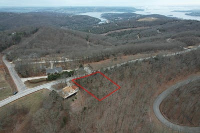 /international/us/lot-9-devils-pool-rd-ridgedale-mo-110096727134/