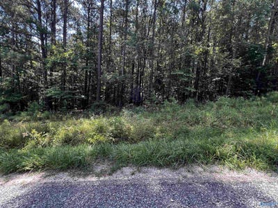 /international/us/-69-acres-county-road-592-leesburg-al-110100970735/?lang=en