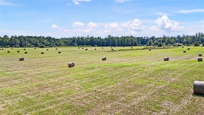 /international/us/2083-highway-247-hattieville-ar-110107196708/