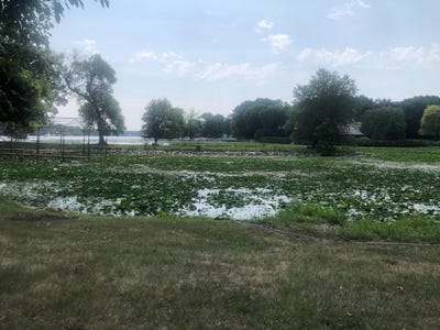 /international/us/4720-lagoon-drive-shorewood-mn-110105256942/