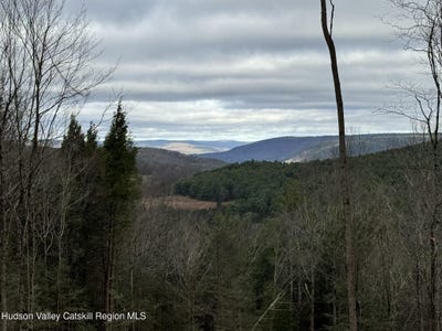 /international/us/tbd-state-hwy-23-grand-gorge-ny-110095897193/?lang=zh-cn