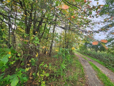 /international/us/9731-silverthorn-road-mckean-boro-pa-110095571953/