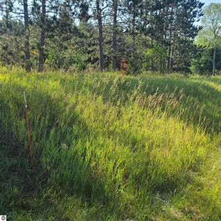 /international/us/0002-m-66-se-fife-lake-mi-110101050795/