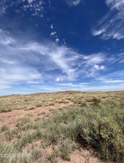 /international/us/46-county-road-6019-st-johns-az-110086543417/