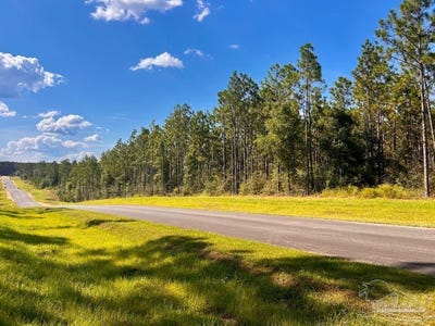 /international/us/morgans-branch-lot-5-molino-fl-110102663384/