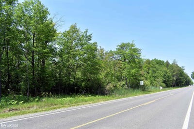 /international/us/oak-beach-road-port-austin-mi-110108440432/