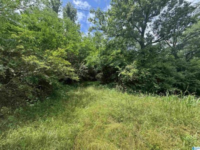 /international/us/6391-highway-13-haleyville-al-110100032400/