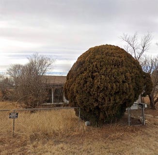 /international/us/505-avenue-c-abernathy-tx-110108388161/