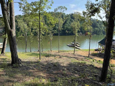/international/us/-39-acres-county-road-594-leesburg-al-110101316452/?lang=en