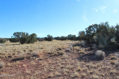 /international/us/lot-20-county-road-5152-concho-az-110096609070/