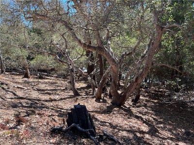 /international/us/2275-leona-drive-cambria-ca-110102156042/