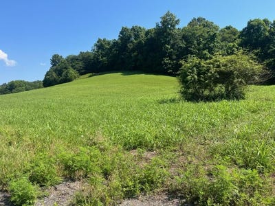 /international/us/500-little-renox-road-burkesville-ky-110100675942/