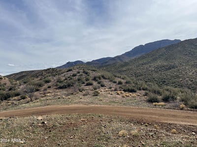 /international/us/00000-e-ranch-creek-road-globe-az-110096824085/