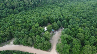 /international/us/792-gutter-road-harriet-ar-110108179313/