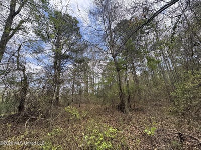 /international/us/stephens-road-newton-ms-110106702454/