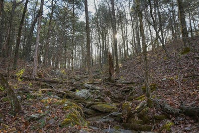 /international/us/7-5-acres-mountain-meadows-road-shirley-ar-110101022824/