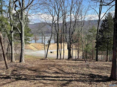 /international/us/lookout-mountain-drive-lot-149-scottsboro-al-110120018630/