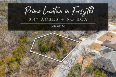 /international/us/lots-62-63-eagle-drive-forsyth-mo-110108027949/