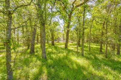 /international/us/teague-road-jacksboro-tx-110107197787/
