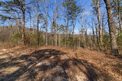 /international/us/county-road-158-gainesville-mo-110107985078/