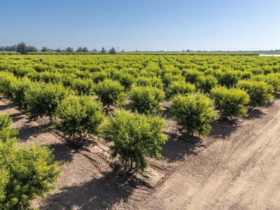 /international/us/0-duncan-road-yuba-city-ca-110100397808/?lang=zh-tw