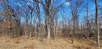 /international/us/514xx-leaf-river-road-tract-c-ottertail-mn-110103240400/