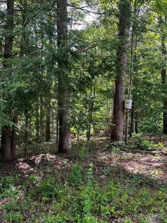 /international/us/0-lot-93-sled-run-road-wellington-ky-110101062221/
