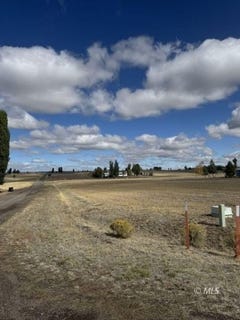 /international/us/black-pine-alturas-ca-110102923382/