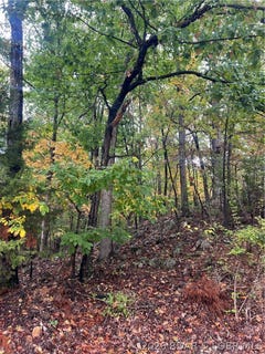 /international/us/mace-holiday-shores-drive-osage-beach-mo-110120576116/