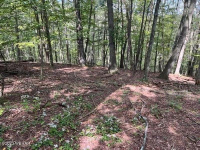 /international/us/parcel-178-01-windfield-drive-williamsport-pa-110092648553/?lang=zh-tw